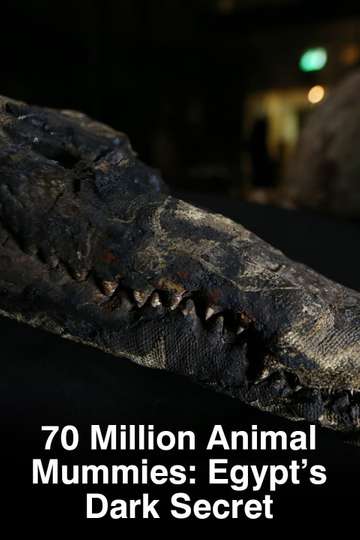 70 Million Animal Mummies Egypts Dark Secret Poster