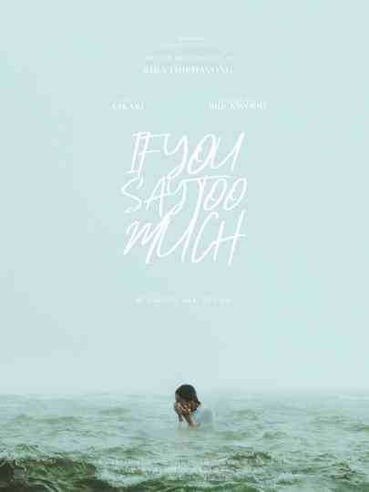 If You Say Too Much