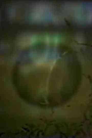 Up to West House Alone Poster