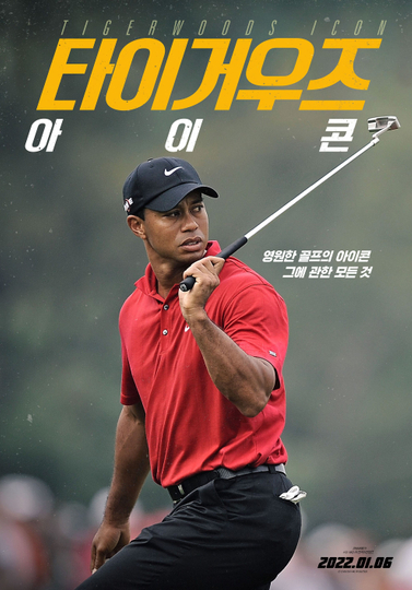 Tiger Woods Icon