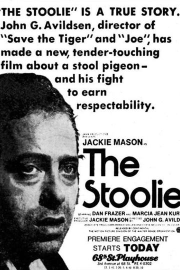 The Stoolie