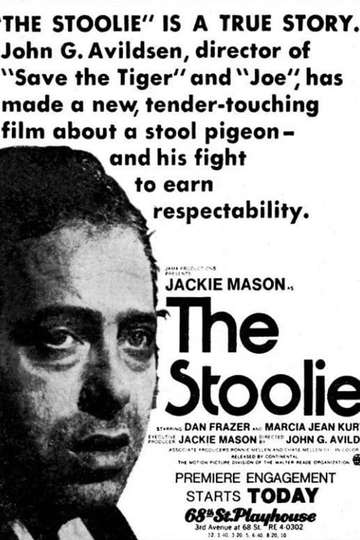 The Stoolie Poster