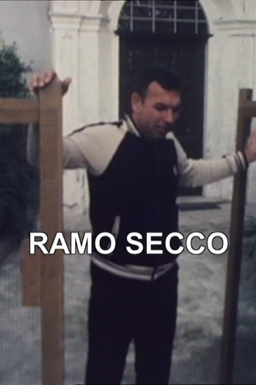 Zibaldino 86 Ramo secco