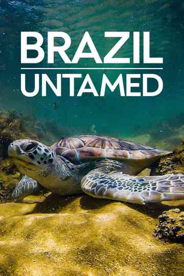 Brazil Untamed poster