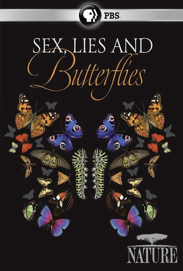 Sex Lies And Butterflies Movie Moviefone