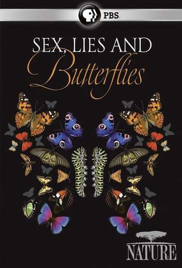 Sex Lies and Butterflies Poster