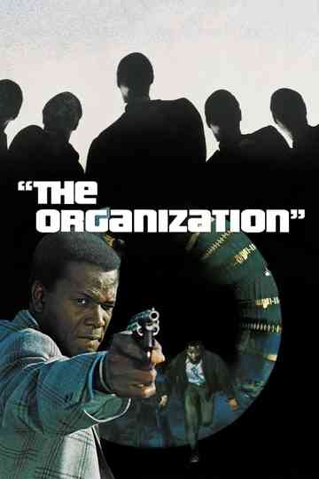 The Organization