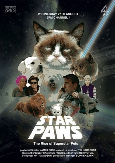 Star Paws The Rise of Superstar Pets