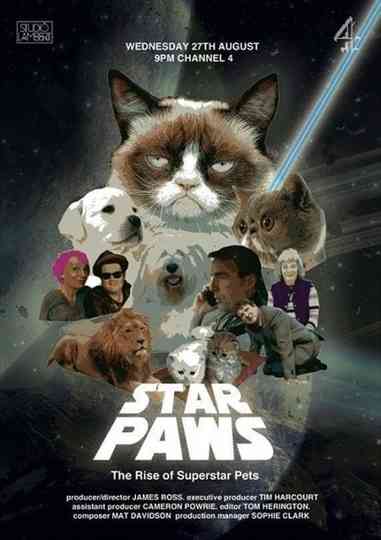 Star Paws The Rise of Superstar Pets