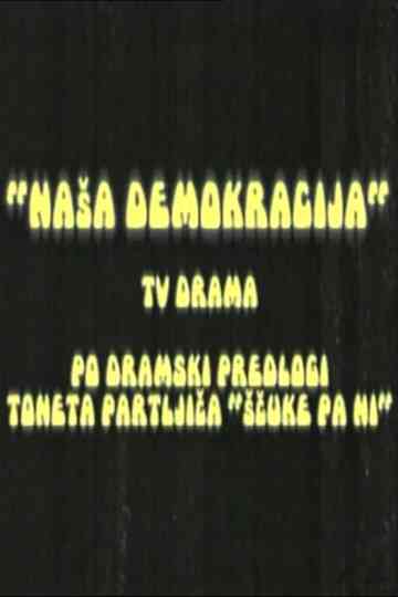 Our Democracy Poster