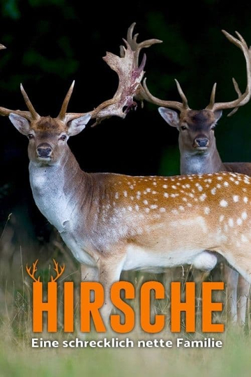 Hirsche - Eine schrecklich nette Familie