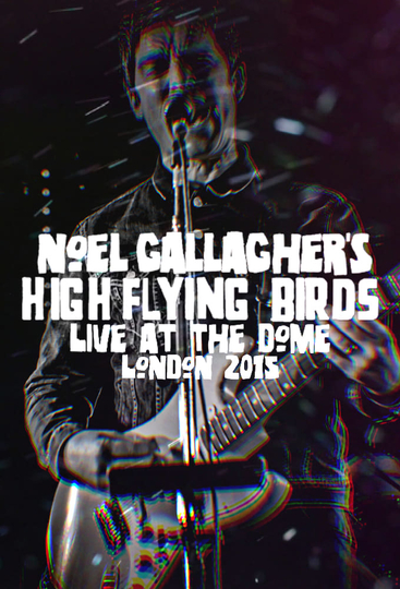 Noel Gallaghers High Flying Birds  Live at The Dome London