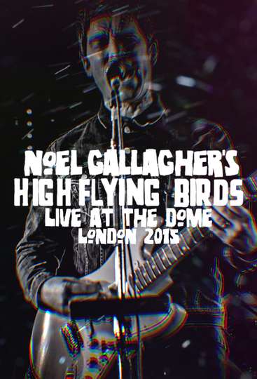 Noel Gallaghers High Flying Birds  Live at The Dome London