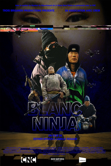 Ninja White Poster