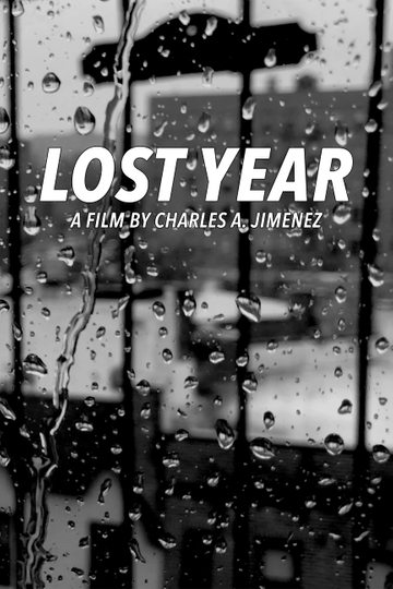 Lost Year