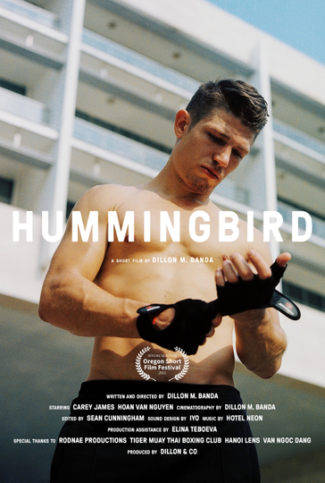 Hummingbird Poster