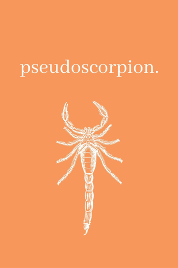 Pseudoscorpion