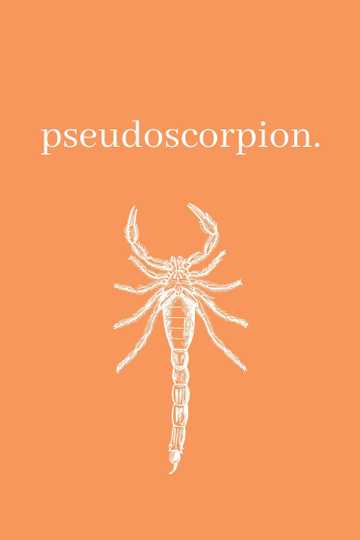 Pseudoscorpion