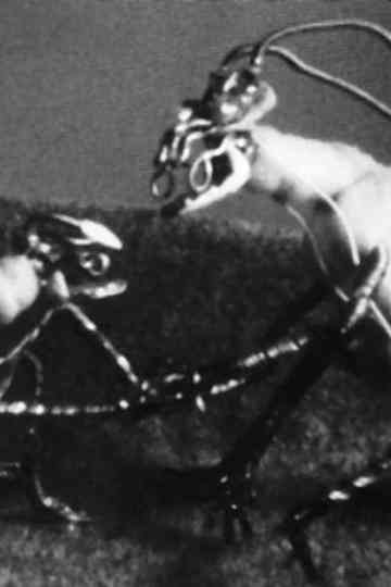 The Space Insect Poster