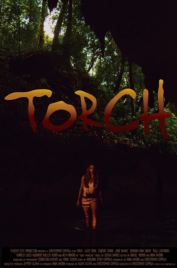 Torch Poster