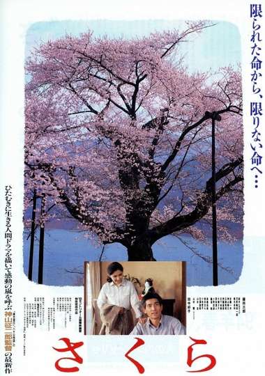 Sakura Poster
