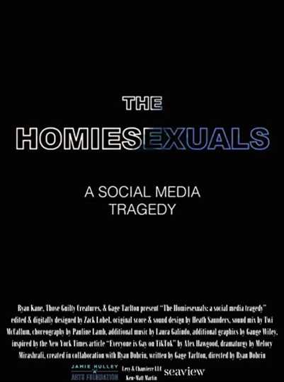 The Homiesexuals: a social media tragedy Poster