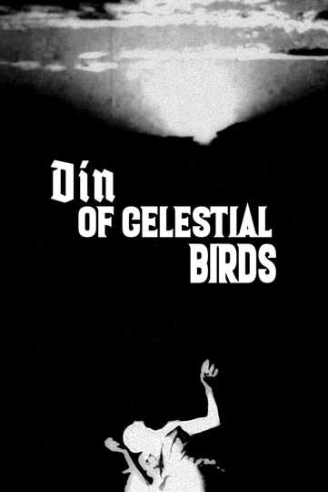 Din of Celestial Birds