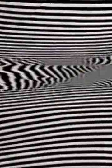 BlackWhiteText