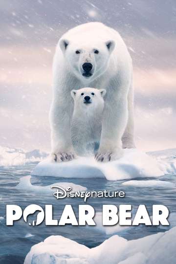 Polar Bear Poster