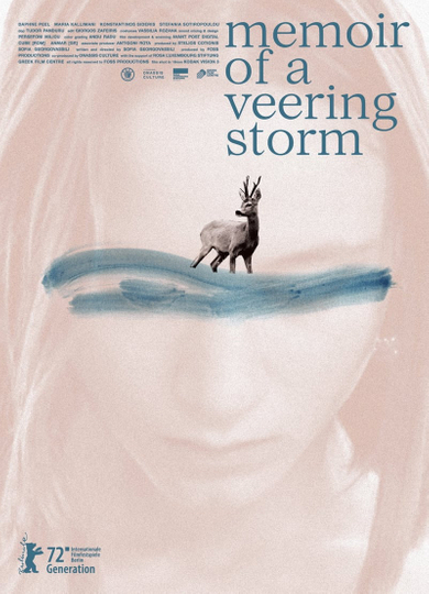 Memoir of a Veering Storm