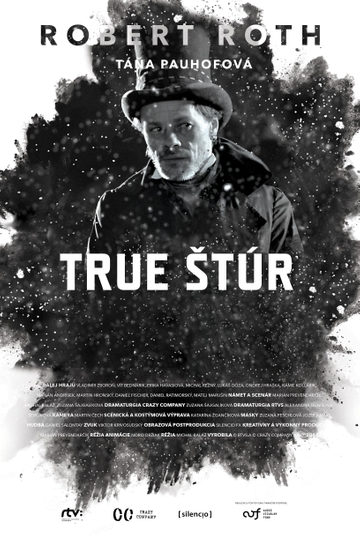 True Štúr Poster