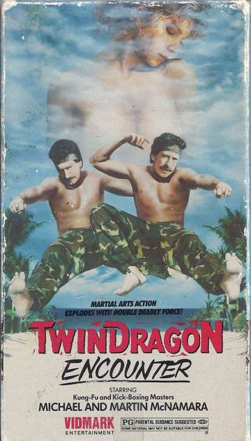 Twin Dragon Encounter Poster