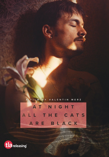 At Night All the Cats Are Black Poster