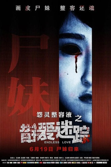 错爱迷踪 Poster