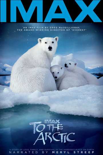To the Arctic Poster