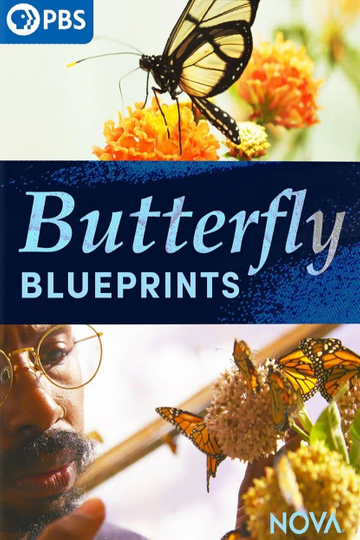 Butterfly Blueprints Poster