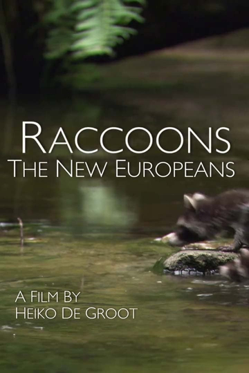 Raccoons: The New Europeans