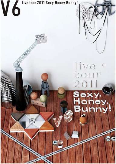 V6 live tour 2011 Sexy.Honey.Bunny! Poster
