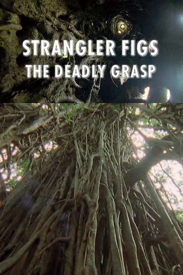 Strangler Figs The Deadly Grasp Poster