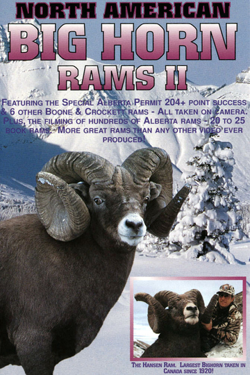 Bighorn Rams 2