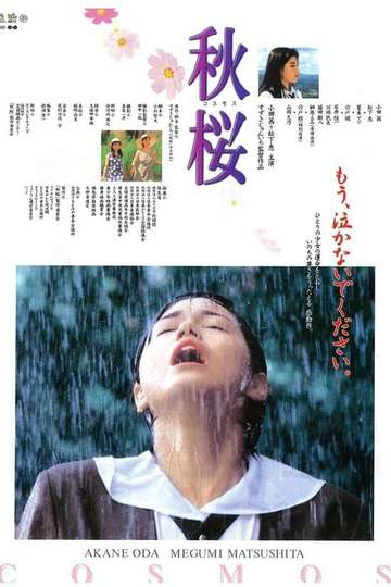 Remembering the Cosmos Flower Poster