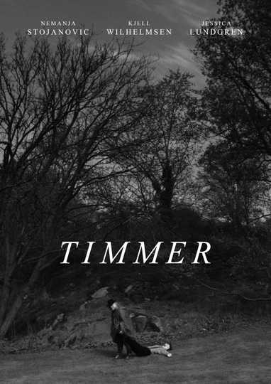 Timmer