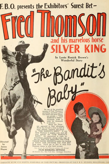 The Bandit's Baby Poster