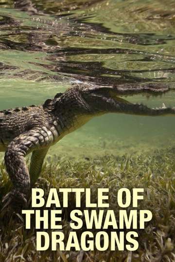 Battle of the Swamp Dragons Poster