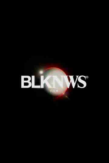 BLKNWS: Terms & Conditions Poster