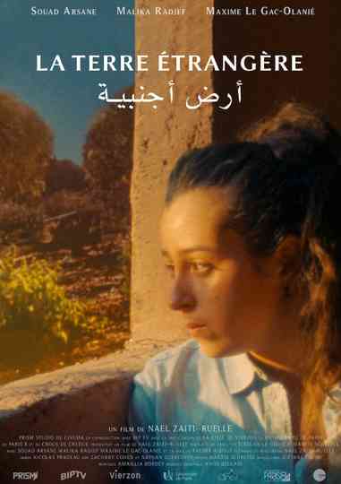 The foreign land Poster