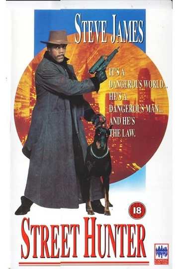 Street Hunter Poster