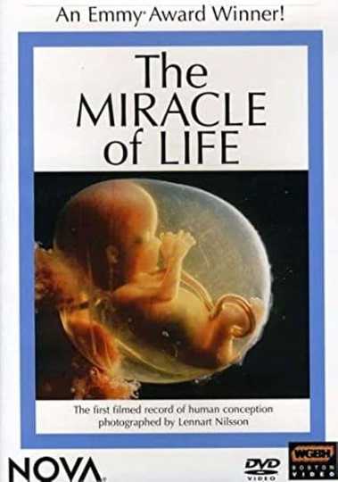 The Miracle of Life