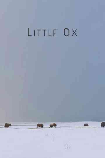 Little Ox