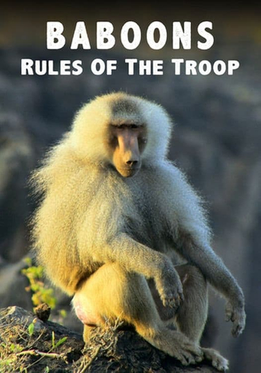 Baboons Rules of the Troop